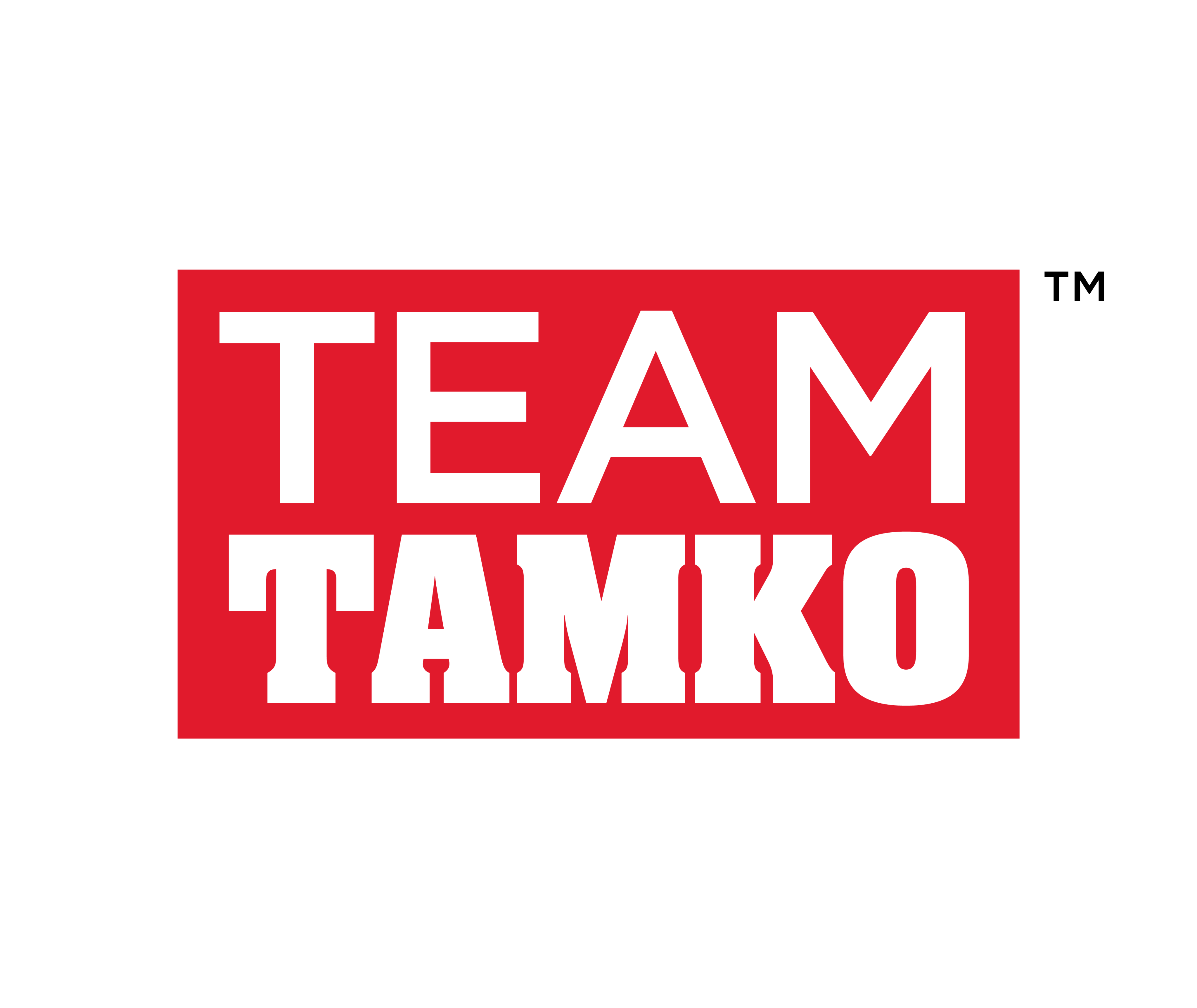 Team TAMKO badge